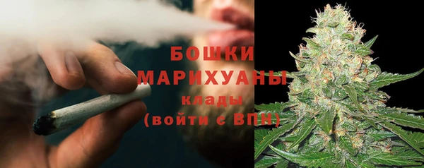 ГАЛЛЮЦИНОГЕННЫЕ ГРИБЫ Горняк