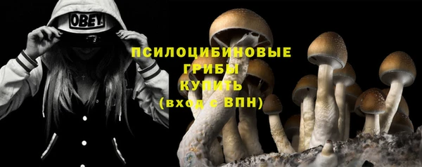 ГАЛЛЮЦИНОГЕННЫЕ ГРИБЫ Горняк