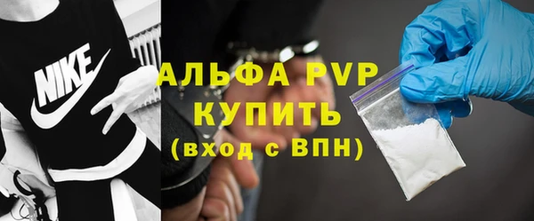 ГАЛЛЮЦИНОГЕННЫЕ ГРИБЫ Горняк