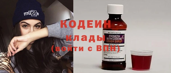 ГАЛЛЮЦИНОГЕННЫЕ ГРИБЫ Горняк