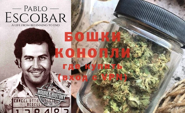ГАЛЛЮЦИНОГЕННЫЕ ГРИБЫ Горняк