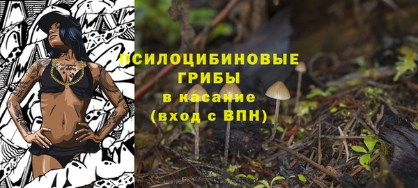 ГАЛЛЮЦИНОГЕННЫЕ ГРИБЫ Горняк