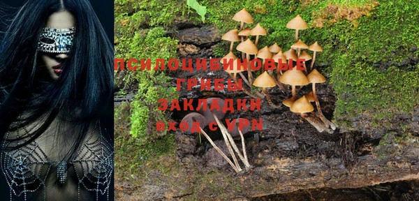 гашишное масло Гусев