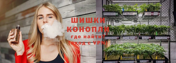 ГАЛЛЮЦИНОГЕННЫЕ ГРИБЫ Горняк