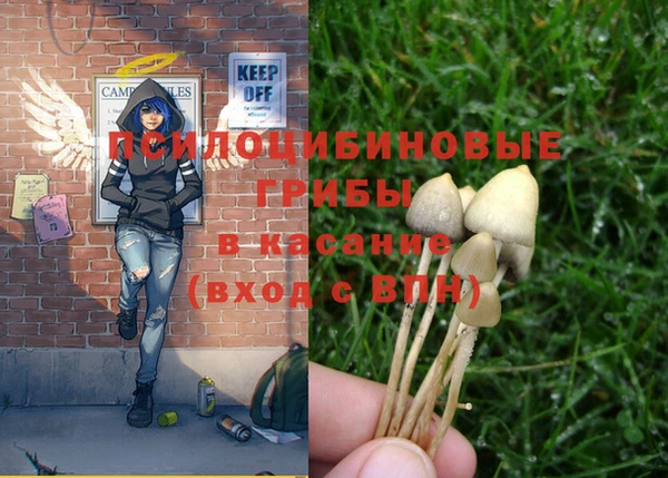 ГАЛЛЮЦИНОГЕННЫЕ ГРИБЫ Гусь-Хрустальный
